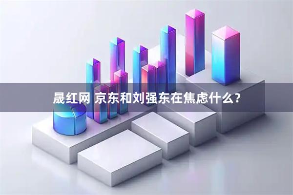 晟红网 京东和刘强东在焦虑什么？